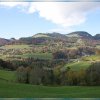 IMG_7636